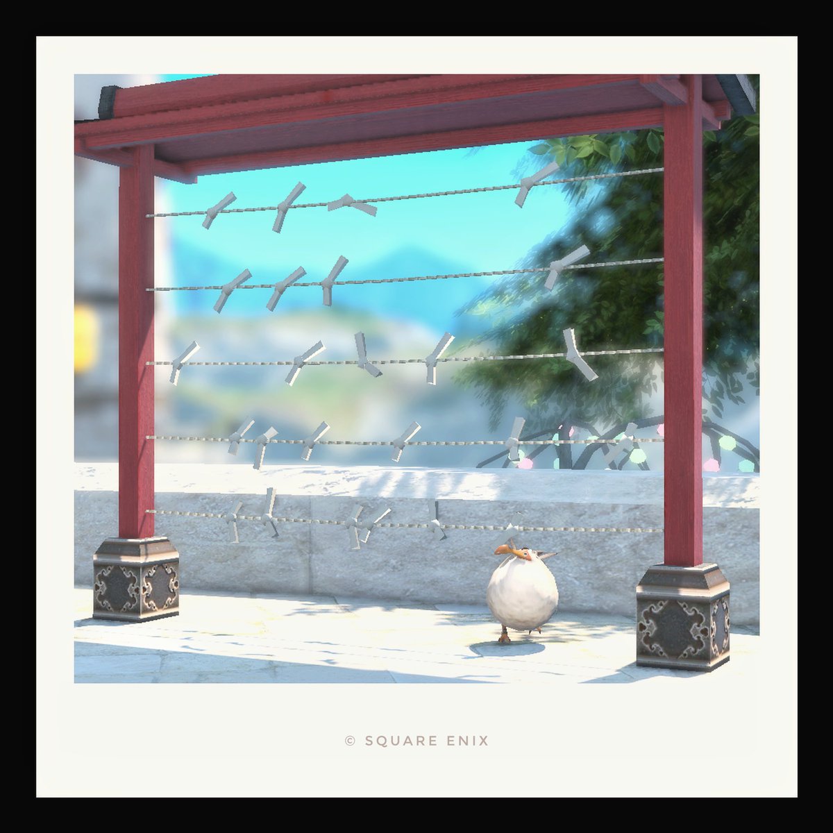 アサ🦤 (@asacmdr) / Posts / X