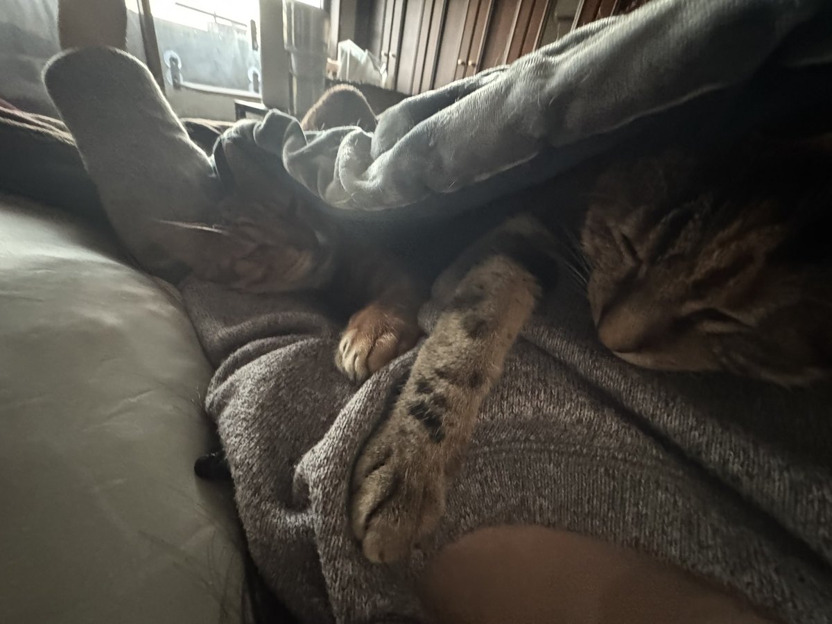 甘えん坊がダブルでベッタリ、動けない…