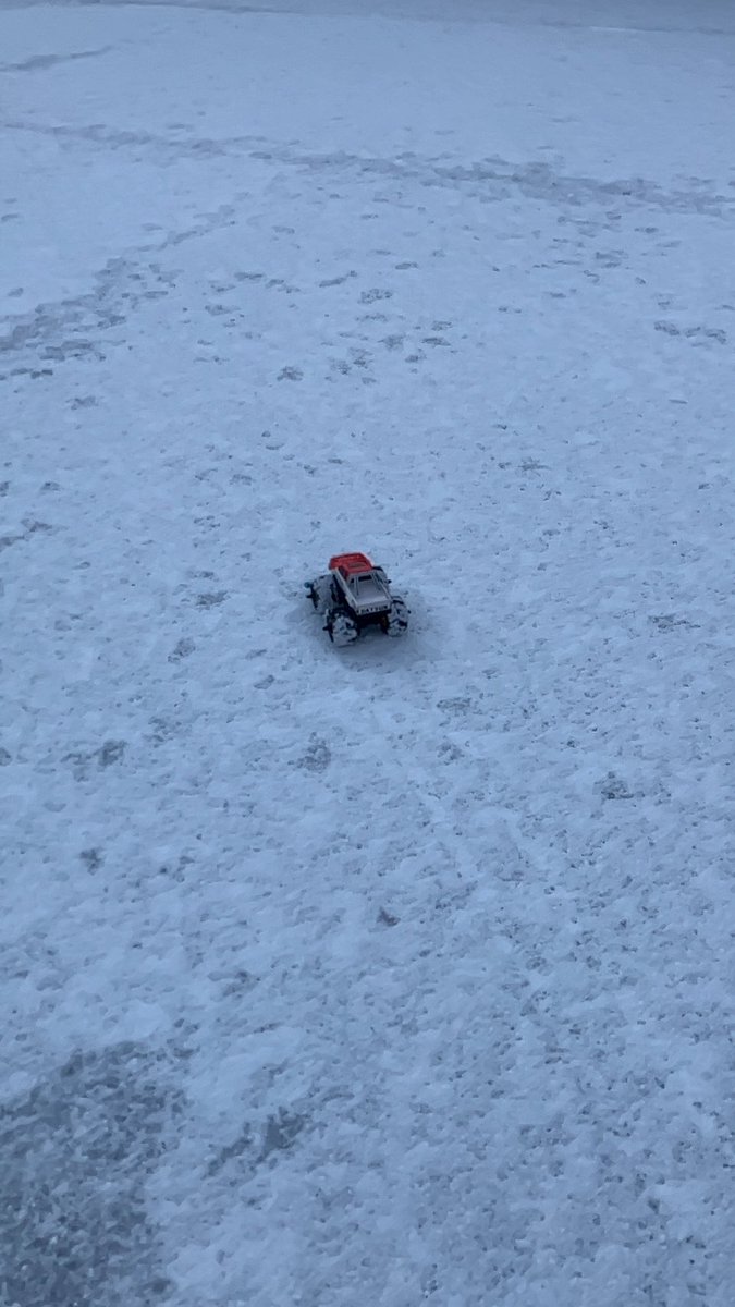 しんゆう tweet media