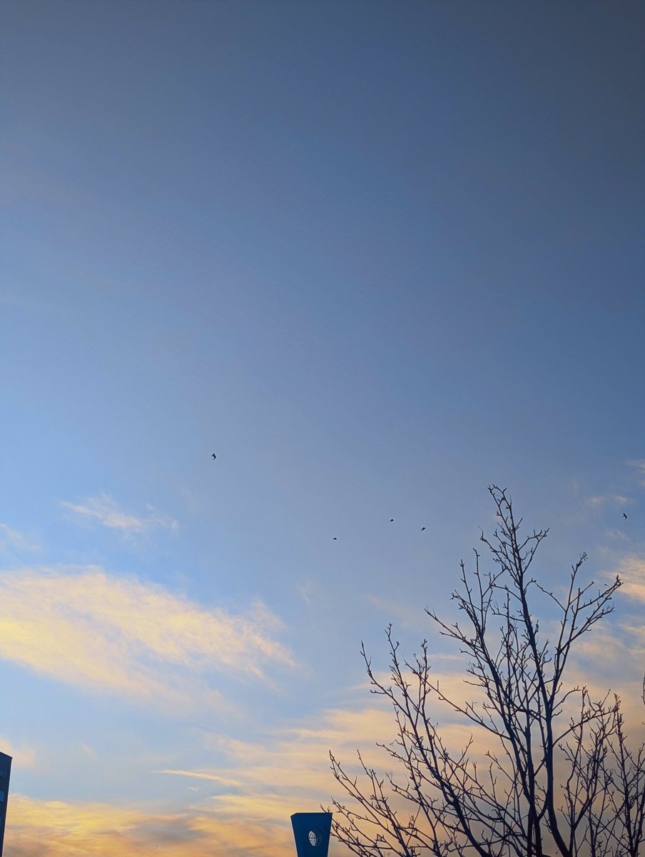 nick_trigger11's tweet image. おはようございます(*^^*)
 #イマソラ
 #スマホ写真