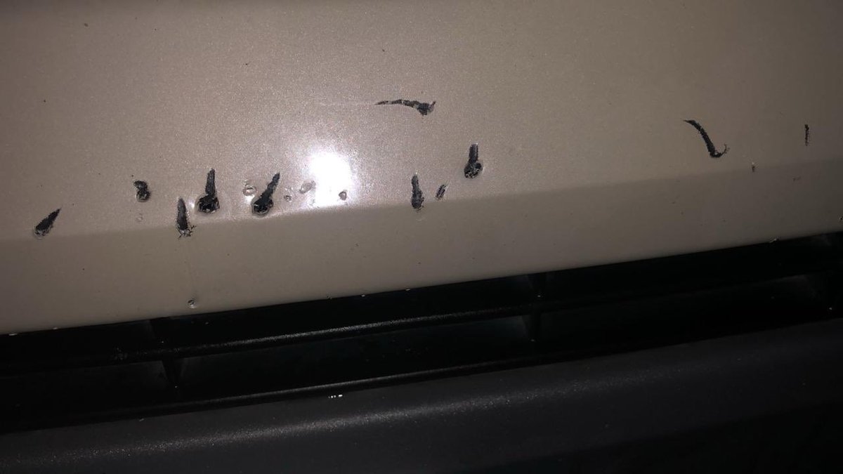 Qué rajado! Esos carros son los preferidos de los perritos!! Jajaja algo parecido le pasó a uno mío 😅