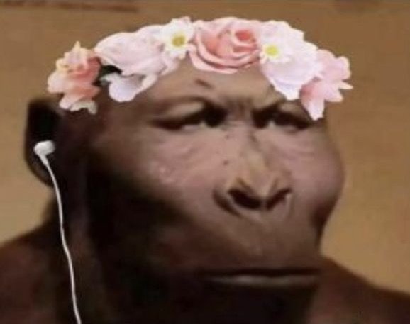 Random girls in the bus taking selfies with Snapchat 
Me sitting behind them: