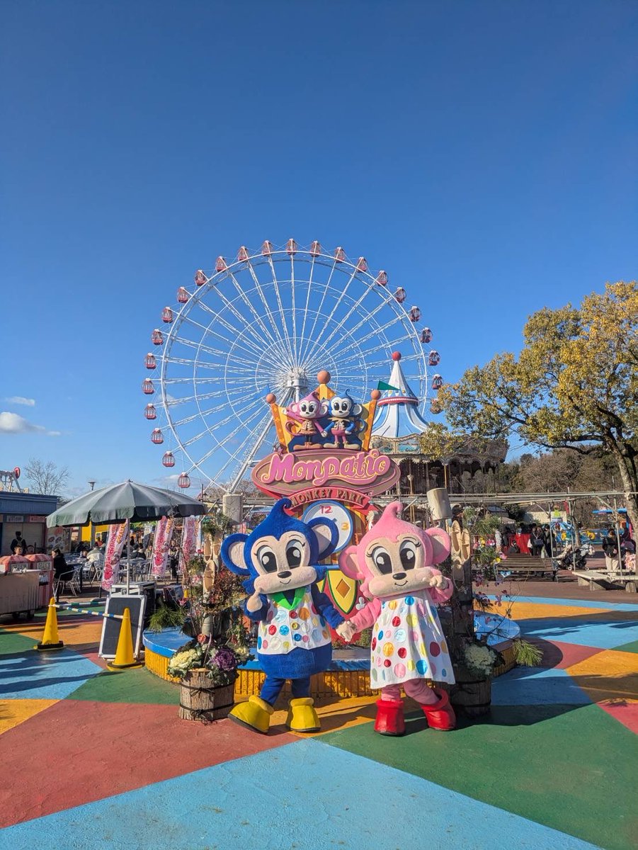 日本モンキーパーク【公式】 tweet media