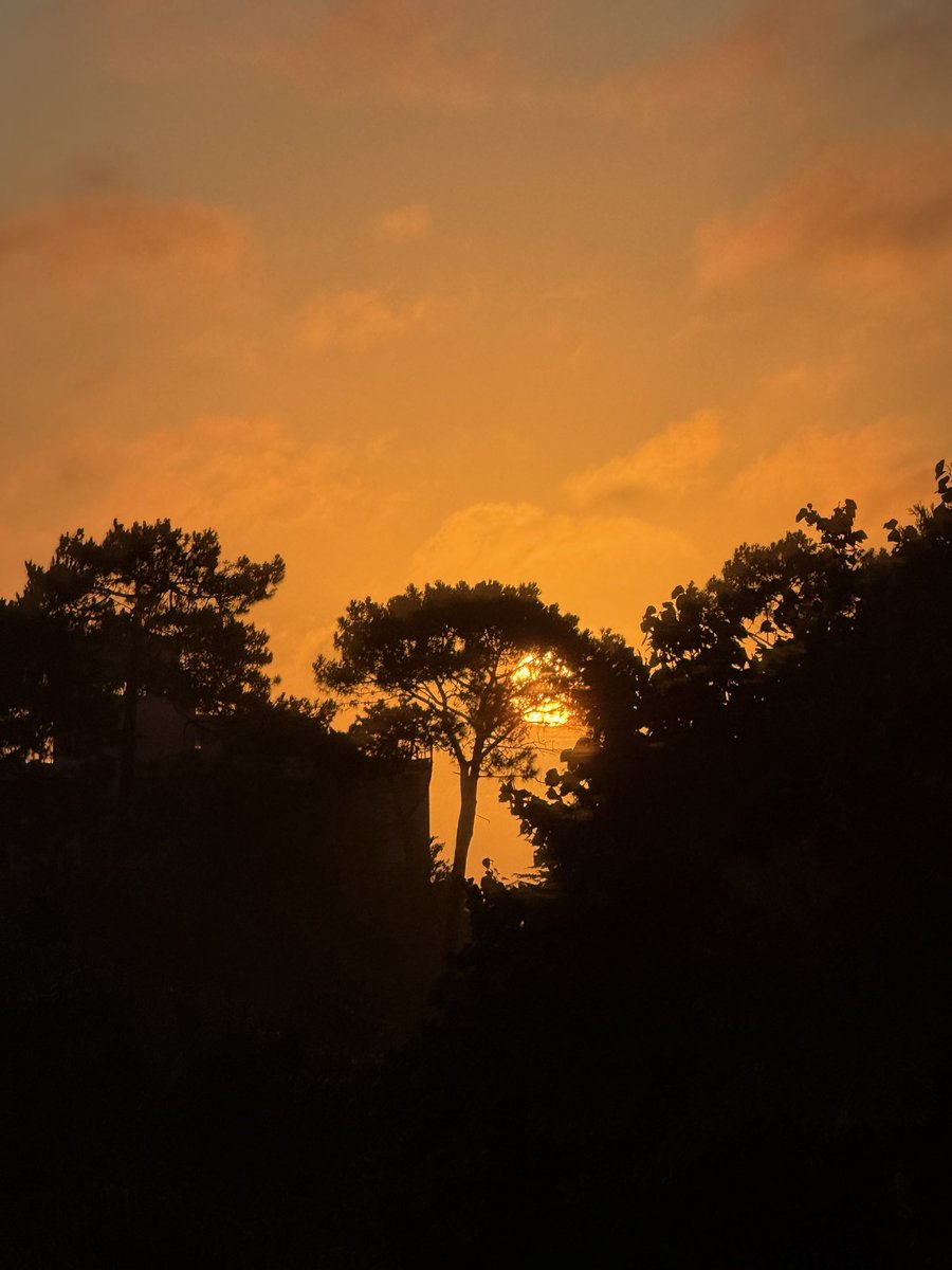 Any Contin Baldinelli tweet media