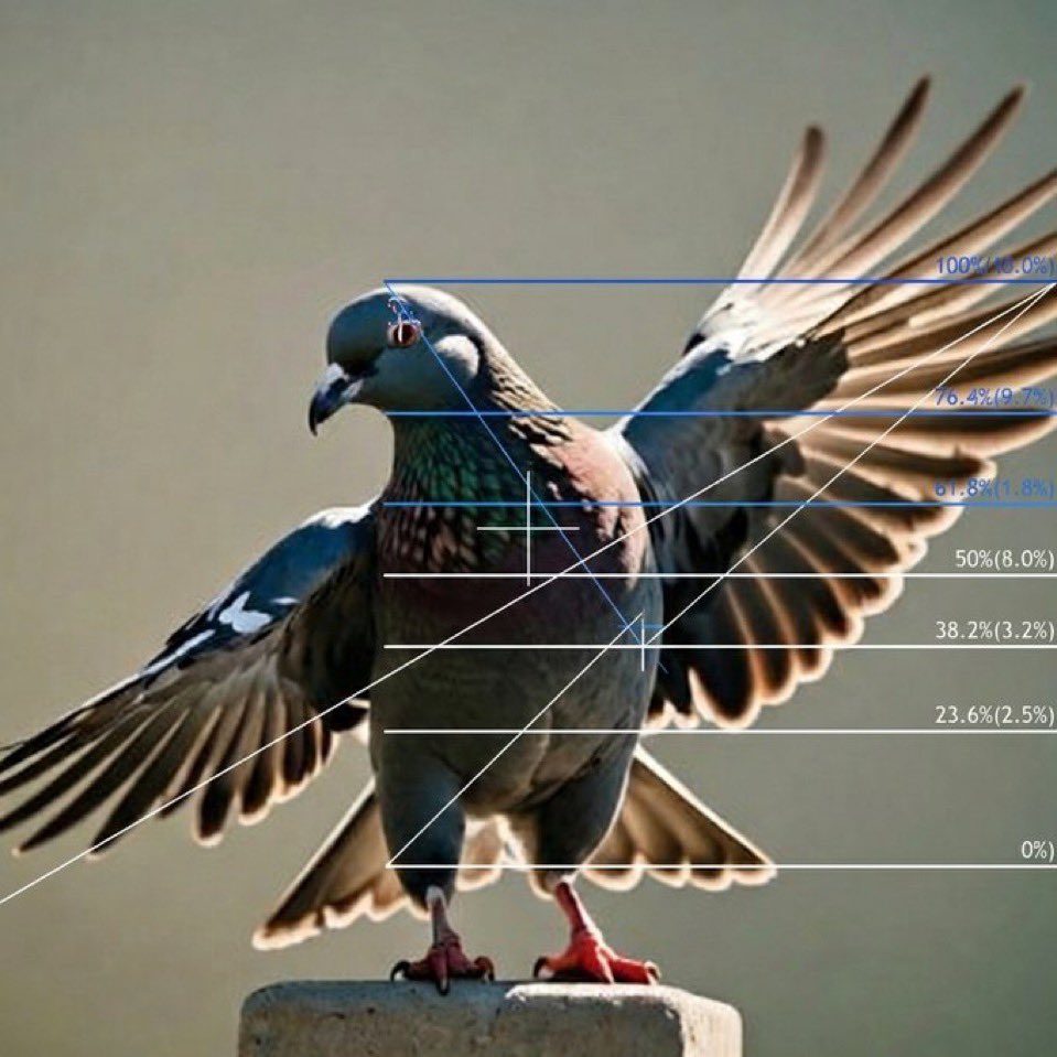 The Fibonacci Sequence Community on X - 38 Members