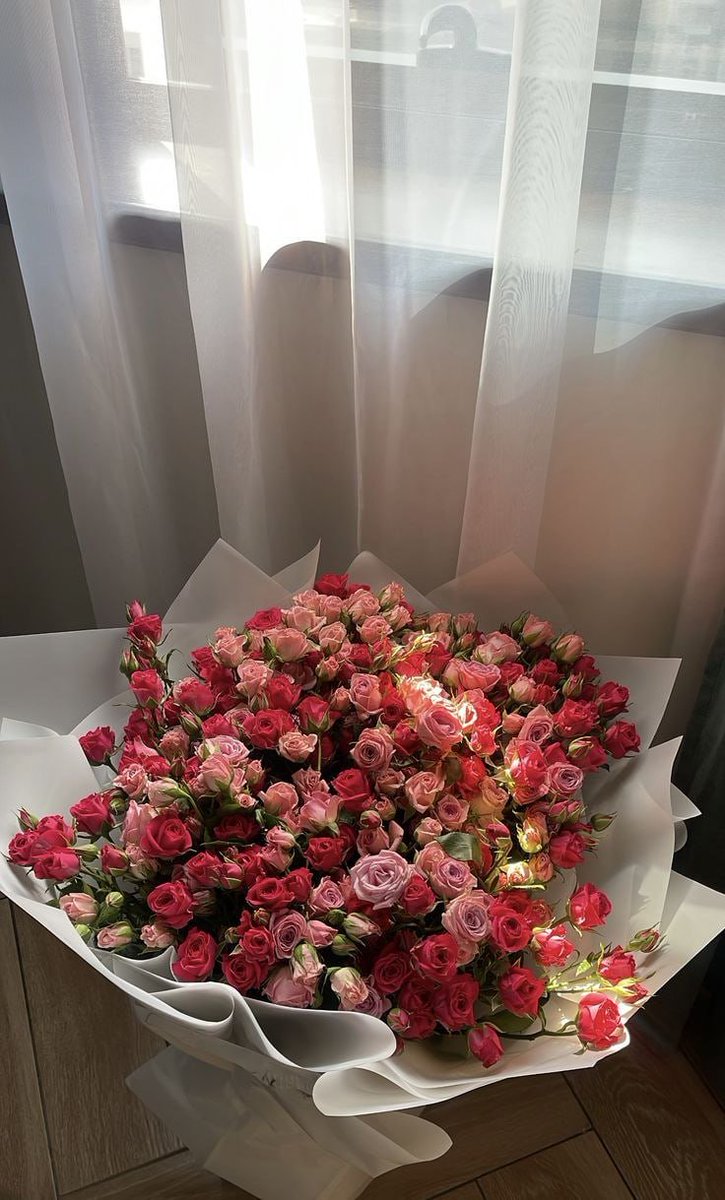 Amilo26's tweet image. When Soft Sunlight Gently Falls on a Garden of Blooming Roses ✨🌸🌷