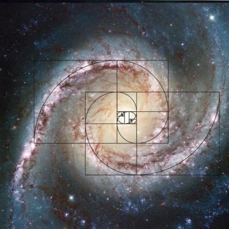 The Fibonacci Sequence Community on X - 38 Members
