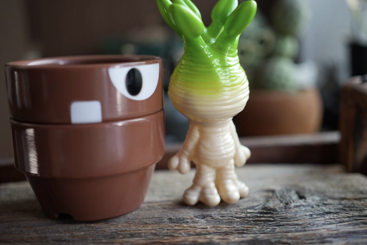 B-The-U🌱VAG3月中旬🌱 (@plantsBTheU) / Posts / X