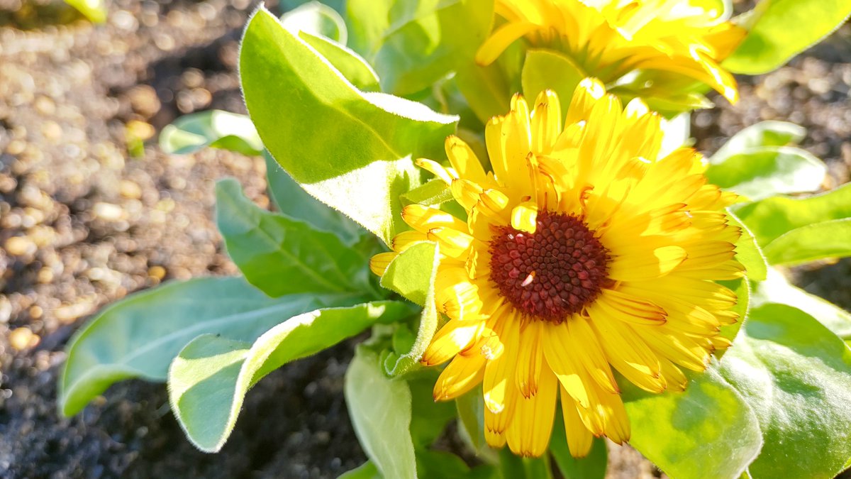おはよございまっす🌼 伊豆の国市小坂乃杜古民家カフェへ☕ ロード