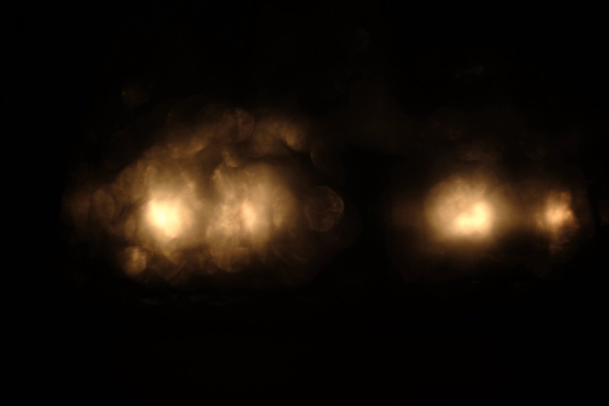 luiarlu's tweet image. 光

#写真