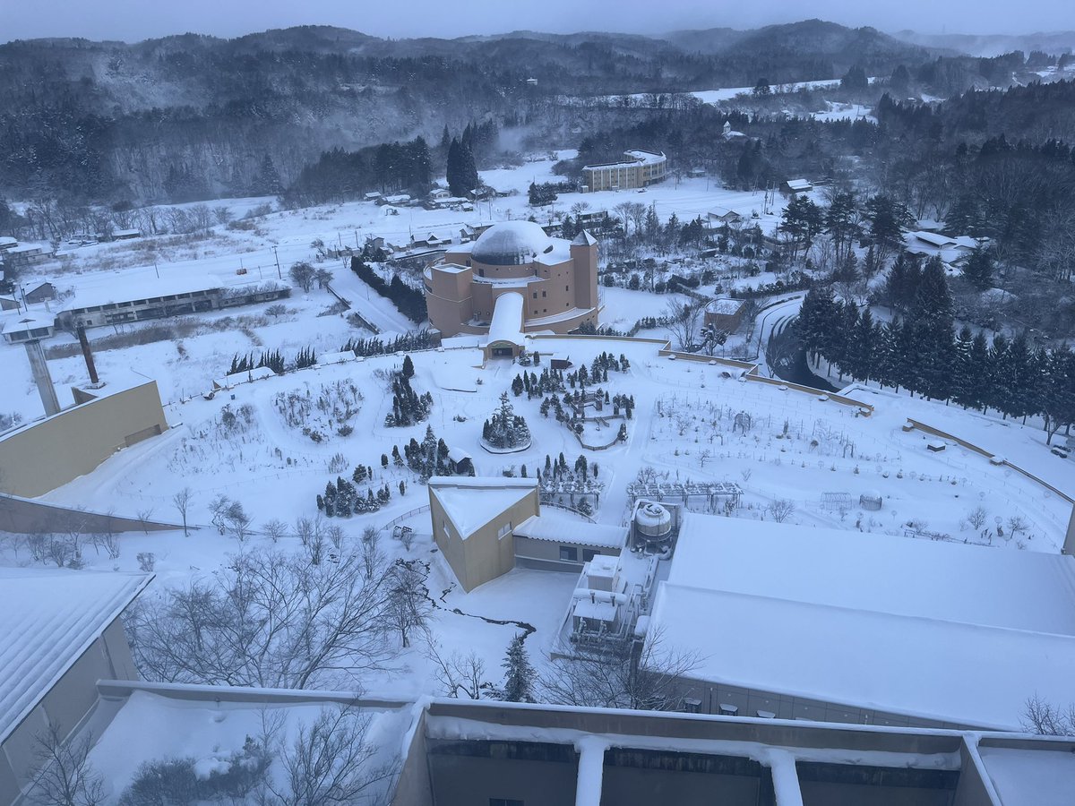 良いスキー日和⛷️…ちょっと風が強い