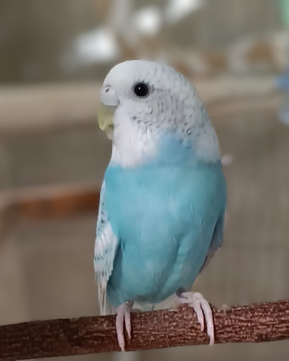 今日もそこに居てくれて、ありがとっ