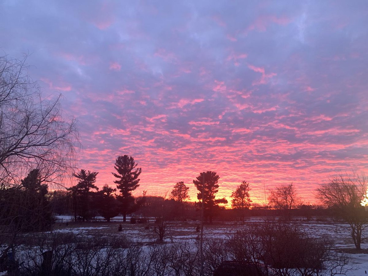 2A enjoyer tweet media