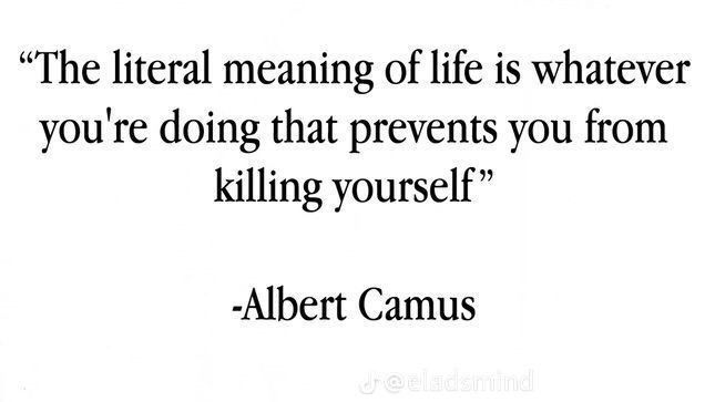 — Albert Camus