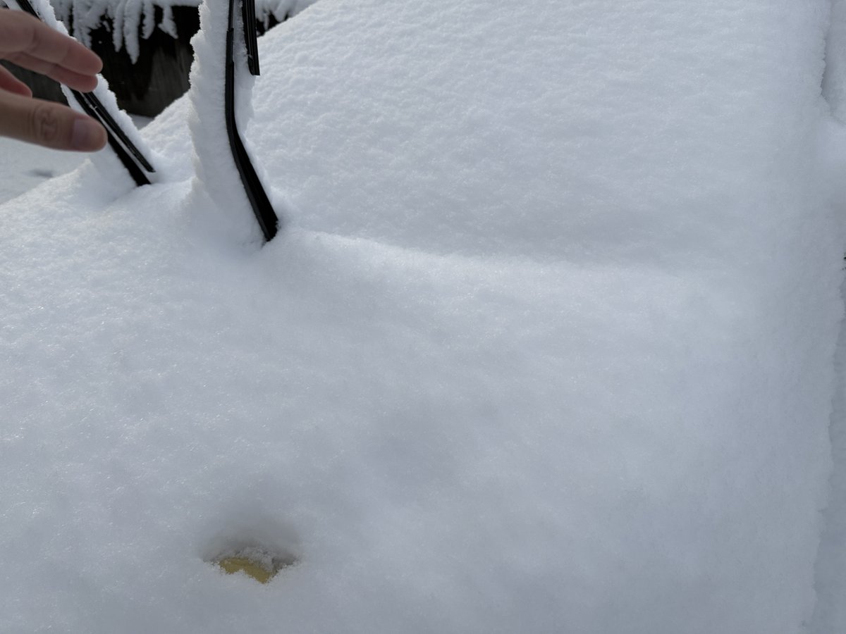 ひーちょ🌖🌱🌼 (@scrap_h2) on Twitter photo 