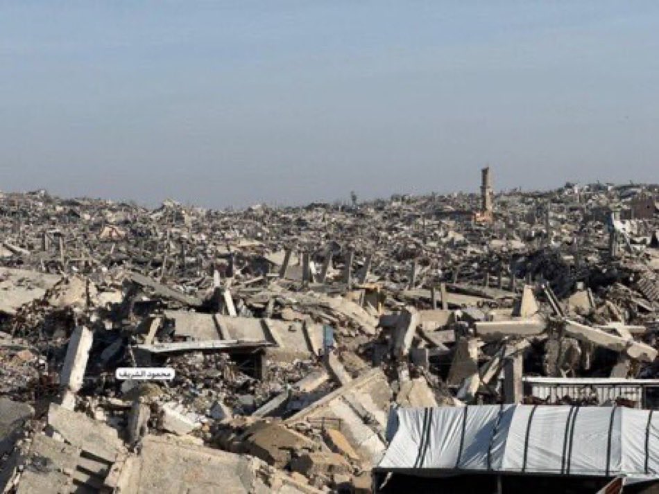 RedPillMediaX's tweet photo. What Jews did to Palestine vs. What Jews did to Argentina 

There is an important lesson here. https://t.co/eiqLAVR1Ue