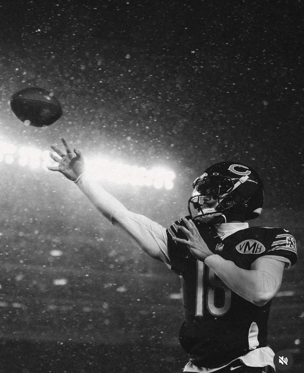 downbadbears's tweet image. Ohh this pic is INSANE 🐻