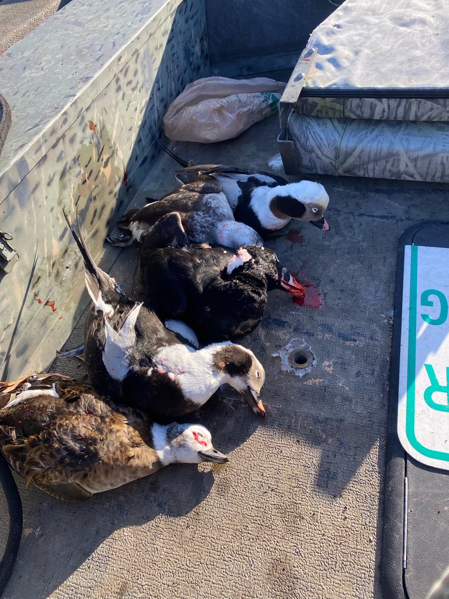 Carsyn Blaze tweet media