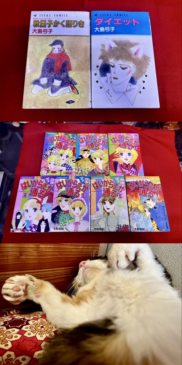 ドラちゃん出品 ドラちゃんです💓