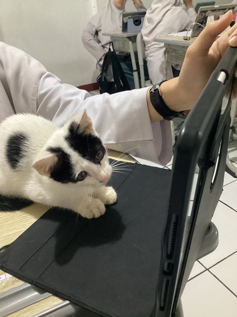 anthrsnaa's tweet photo. screentime 😹 https://t.co/0zfuE9rwfy