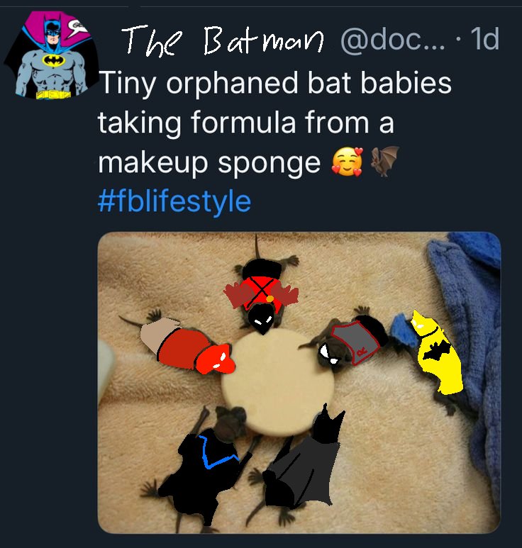 V/robin🦇🐍 tweet media