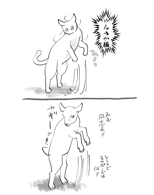 うちの猫はやんのかが極まると謎に立つが、こないだ動物番組を観てたら仔ヤギも同じフォームで立ってた 