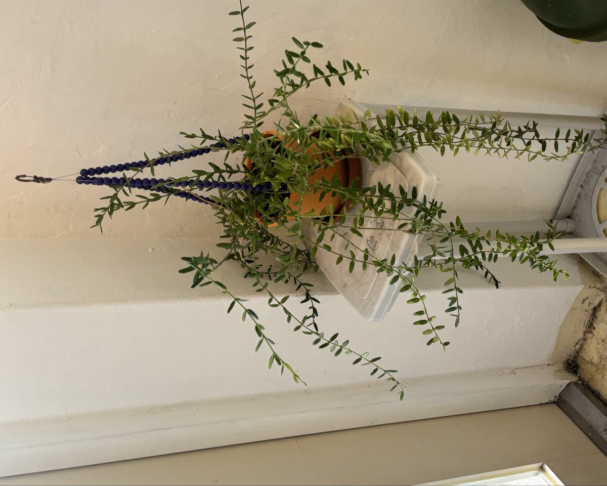 binzipi's tweet image. 대전 귀엽다•••!