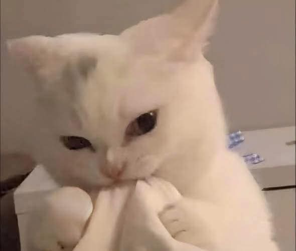 Yo aguantándome las ganas de contestar mal: