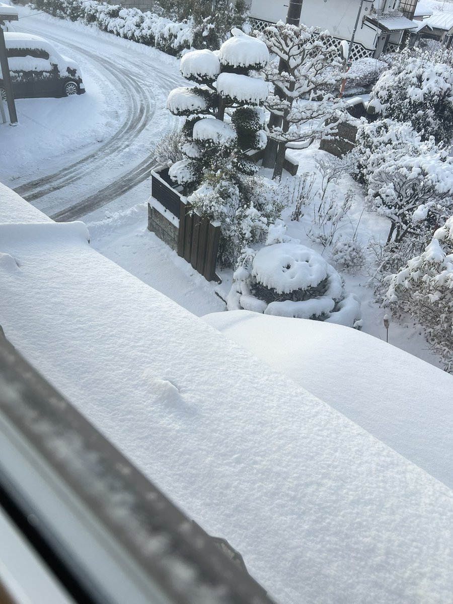 れれもぉぉぉぉぉぉ tweet media