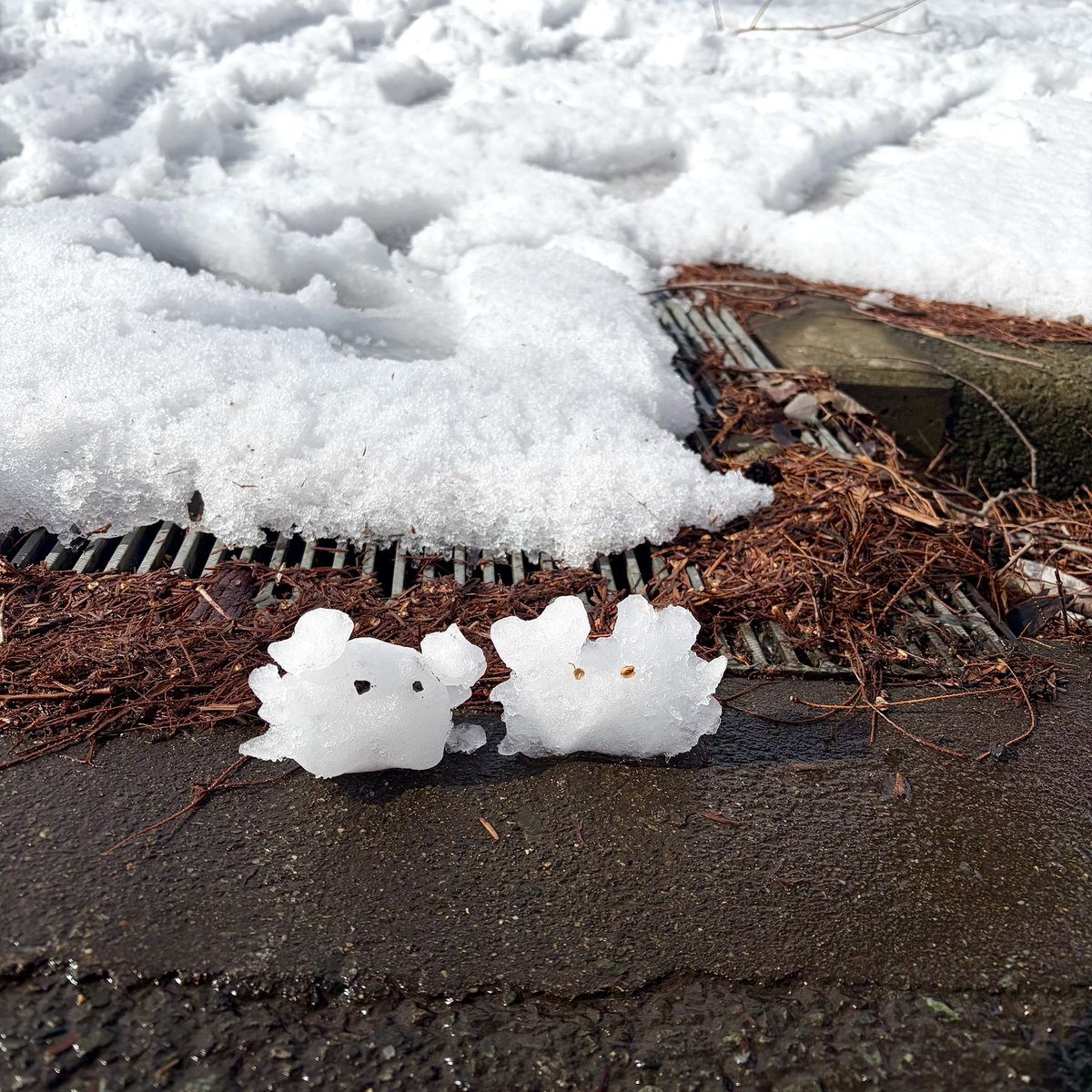 お松 (@omatsu_99) / Posts / X