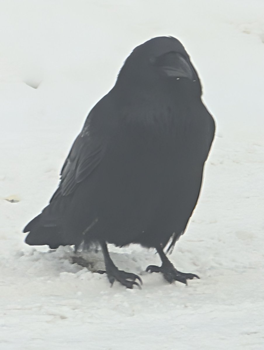 GeometricCAN's tweet image. Travala travala.com/ref/AFLAZ4
best trip of 2025.