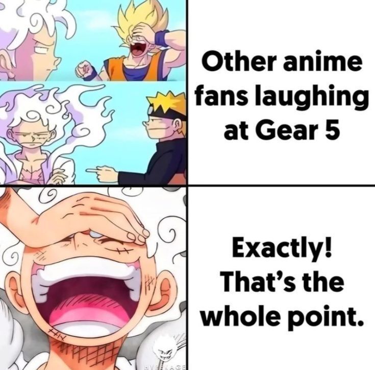One Piece Daily tweet media