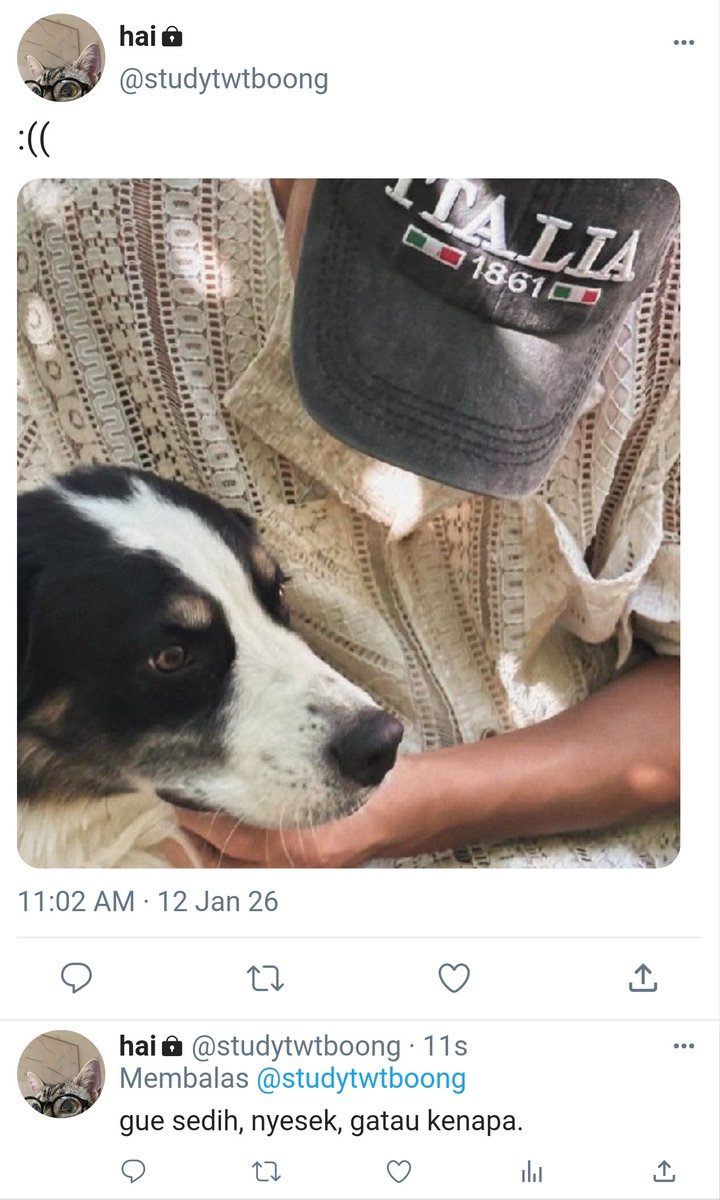 cinnamonnyu's tweet image. 