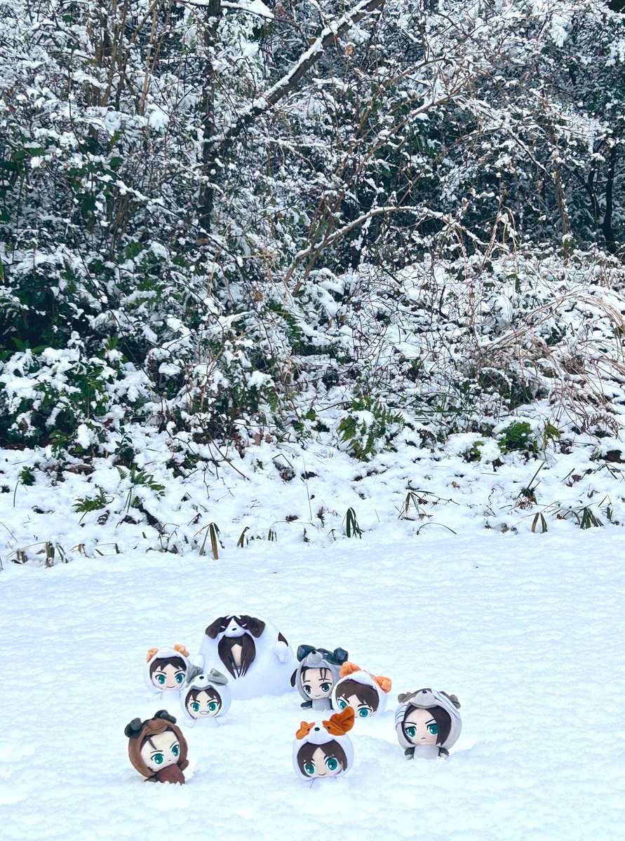 つもってるね🐶🐶🐶🐶🐶🐶🐶🐶