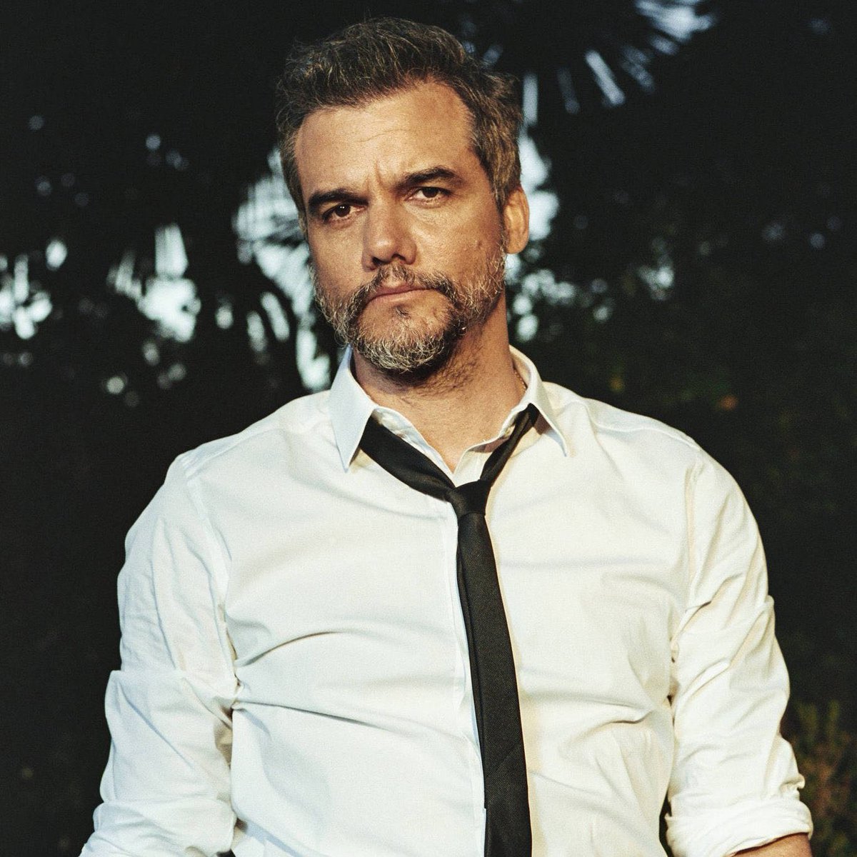 SeriesBrasil's tweet image. Discurso de Wagner Moura ao vencer o #GoldenGlobes de Melhor Ator em Filme de Drama:

"O Agente Secreto é um filme sobre a memória ou a falta dela e um trauma geracional. Eu acho que se o trauma puder ser passado por gerações, os valores também podem ser passados de uma geração…