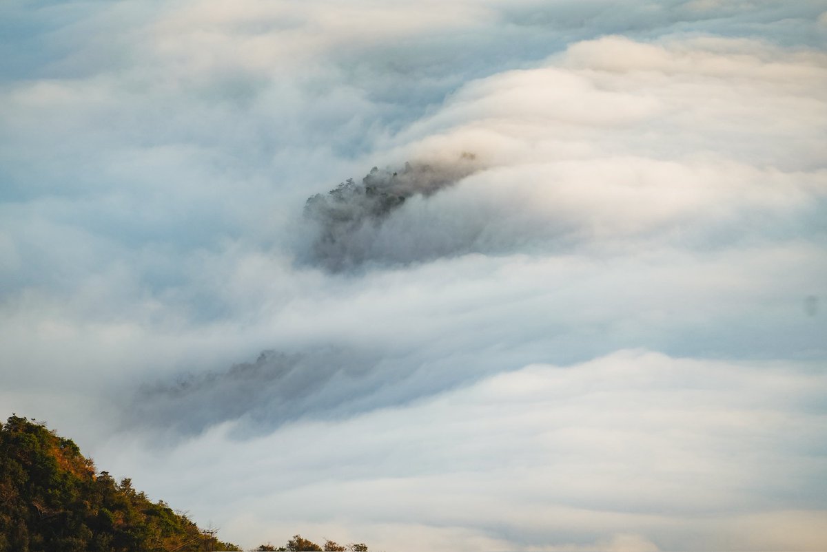 Aditi Raval 🇮🇳 tweet media