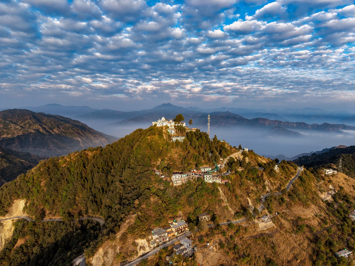 Aditi Raval 🇮🇳 tweet media