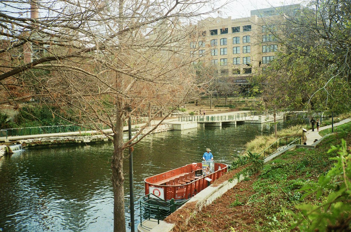 CHEF BARK tweet media