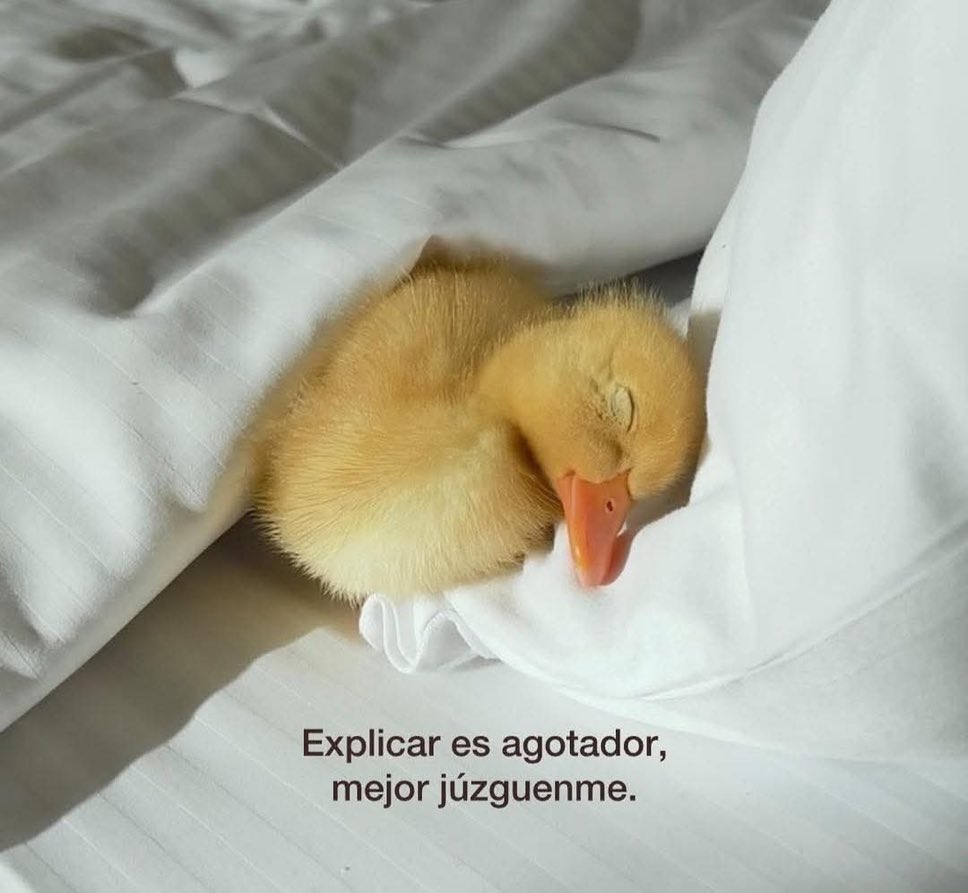 🌙 mini textos (@soyminitextos) on Twitter photo 