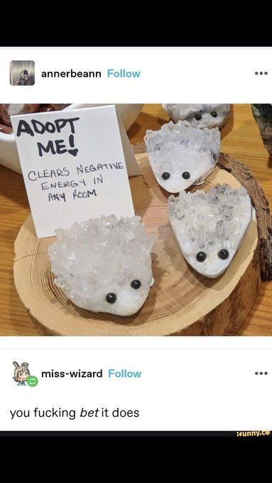 MemesToSave's tweet image. 