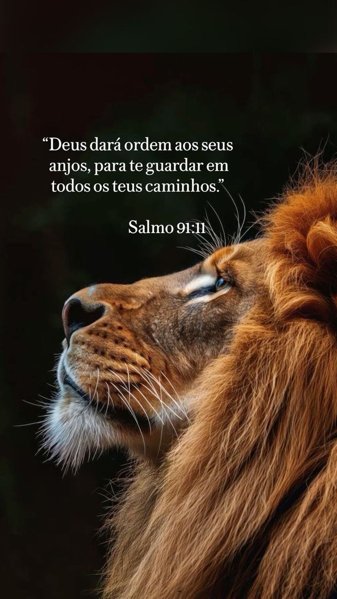 A Profecia! (@livrodaprofecia) on Twitter photo 