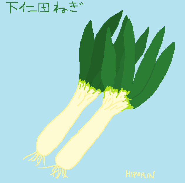 前にも描いたことあったけど
下仁田ねぎ