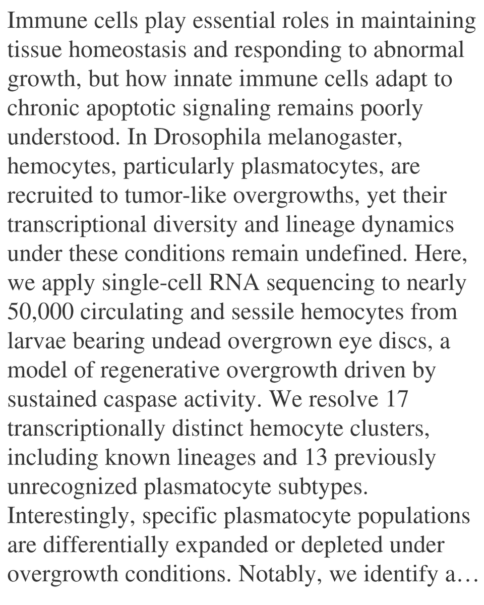 WFC's tweet image. Single-cell RNA analysis reveals unexpected hemocyte plasticity and immune cell specialization in a Drosophila overgrowth model

Yarikipati, P., Bergmann, A.
biorxiv.org/content/10.648…