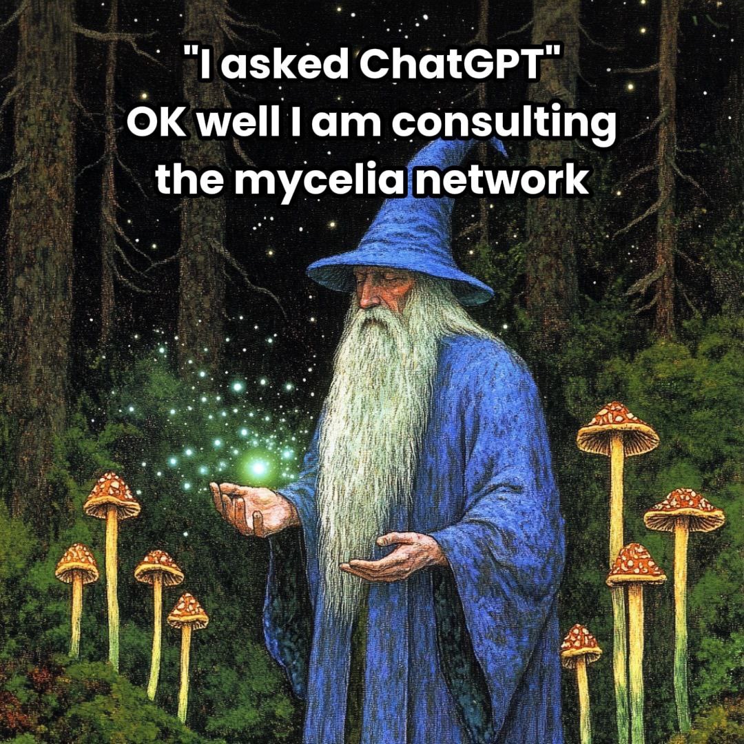 Wizard Gang tweet media