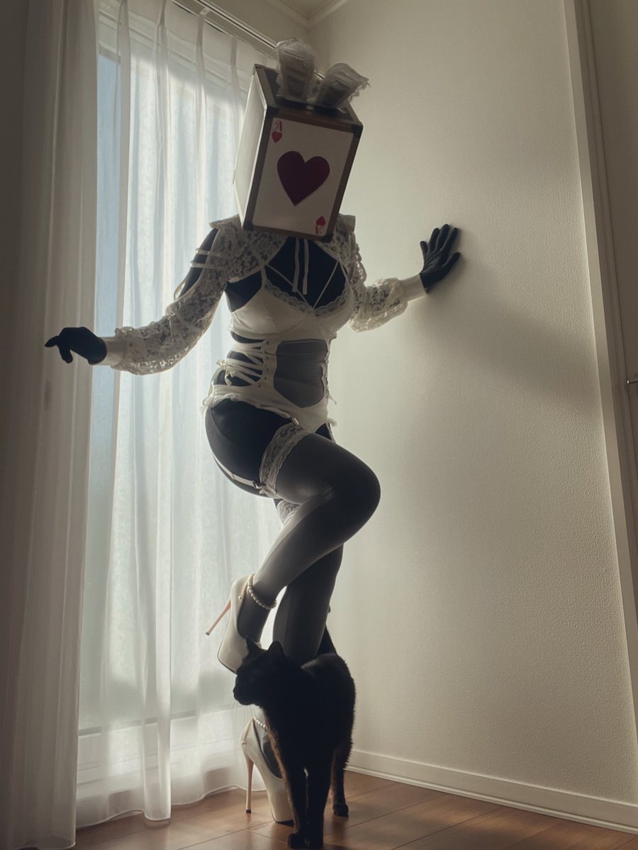 異形頭バニー撮ろうと思ったら猫ちゃんが甘えてきてｱﾜｱﾜしました🐈‍⬛