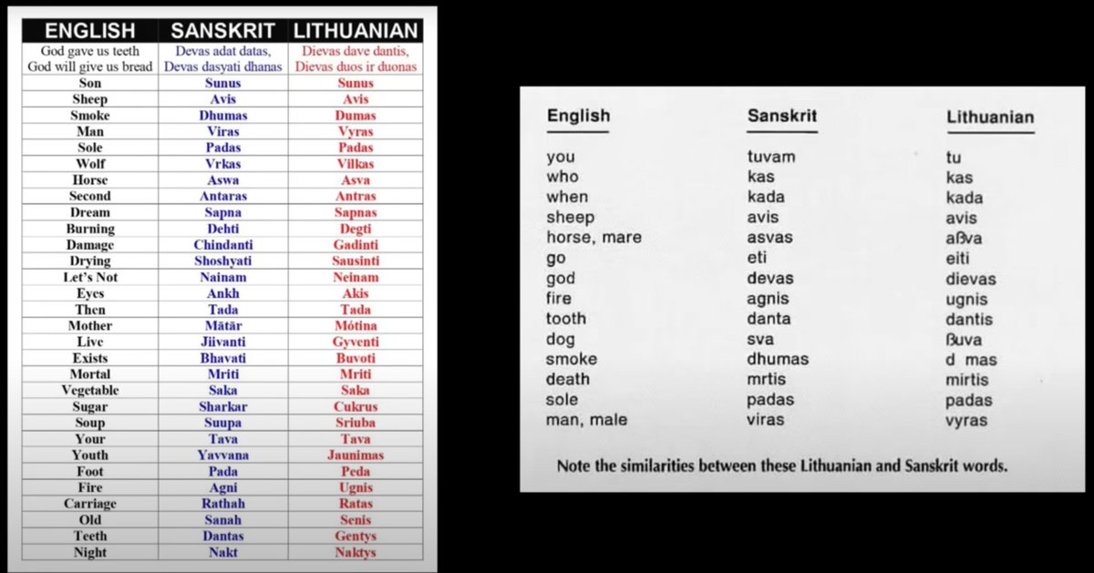 Arya Rising tweet media