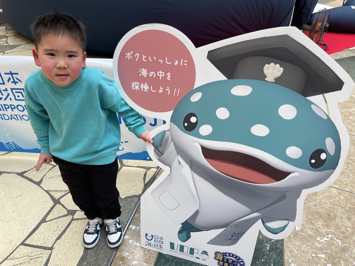 vop_butch's tweet photo. ブッチボーイズ大集合ブッチ🦈🦈🦈
＃VOP 
#ブッチくん 
＃ジンベエザメ https://t.co/TC5Vp0kJjW