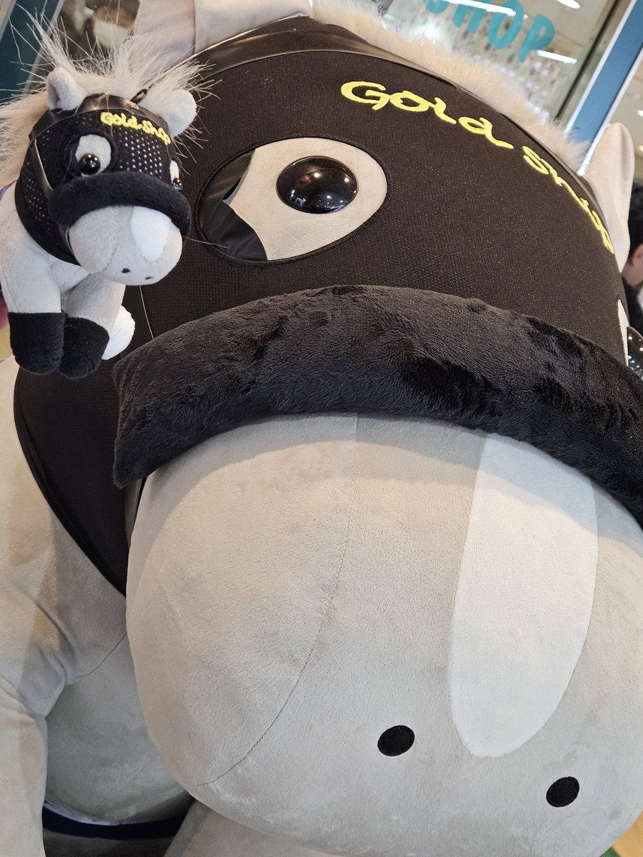 デケェ #中山競馬場 #アイドルホース #ゴールドシップ