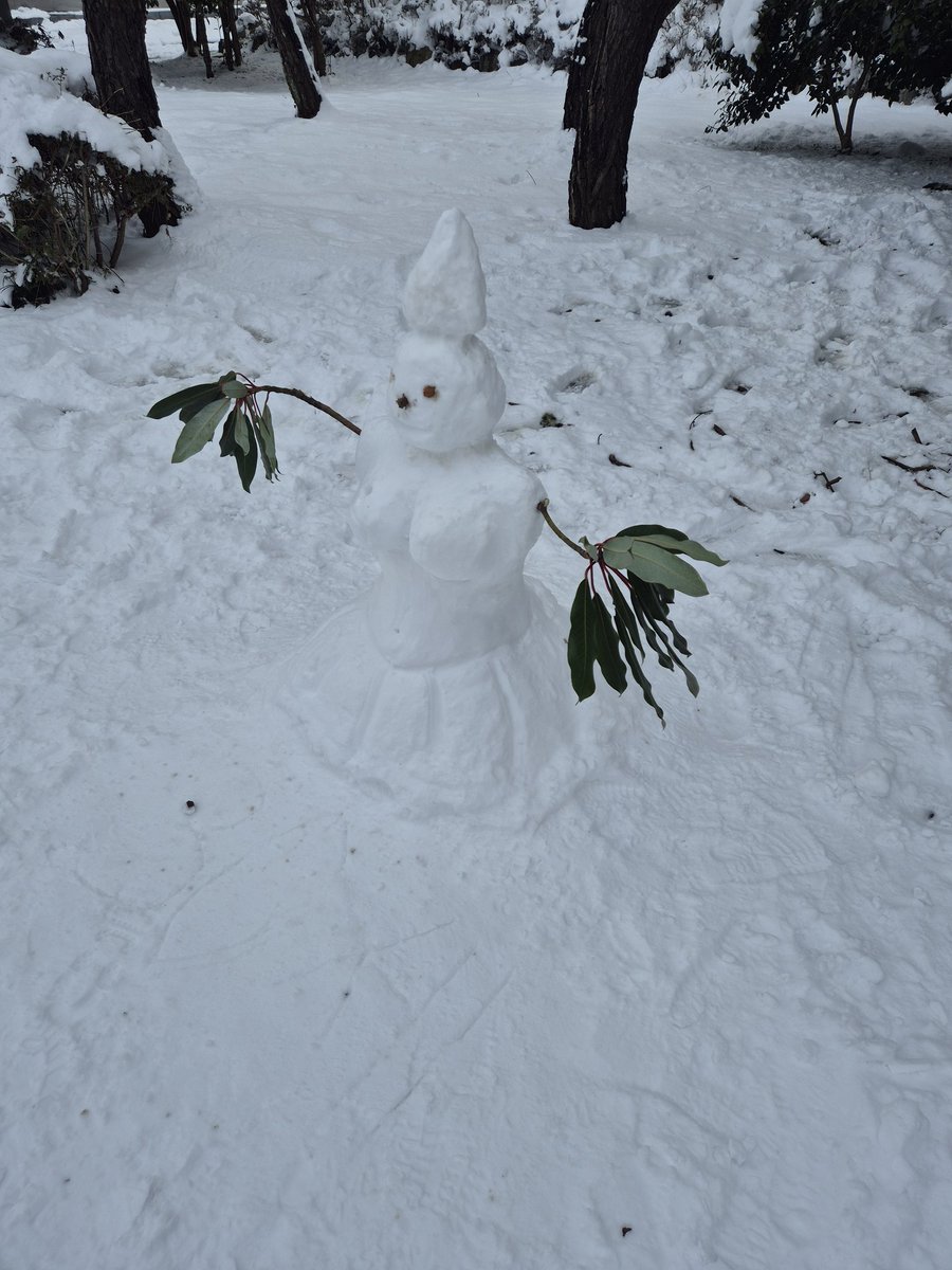 SilverHT tweet media