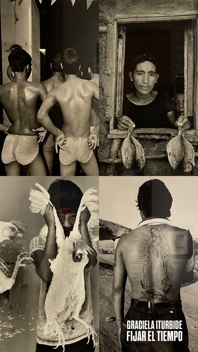 Ángel Conto 🏳️‍🌈 tweet media